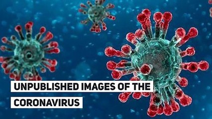 Unpublished images of the coronavirus