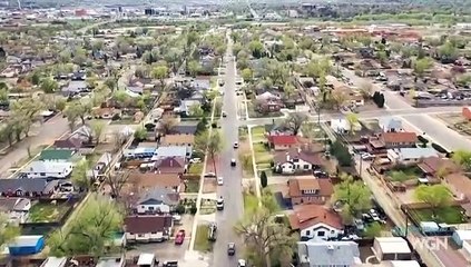 Dog’s Most Wanted - S01E09 - October 30, 2019 || Dog’s Most Wanted (30/10/2019)