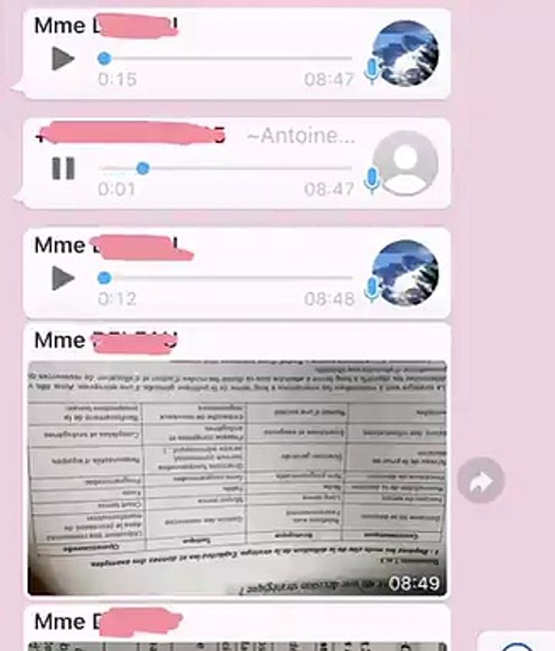 Non, les profs n'étaient pas prêt pour les cours en confinement