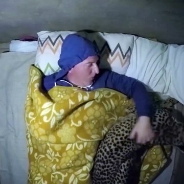 Il partage son lit avec son animal de compagnie très spécial : un guépard