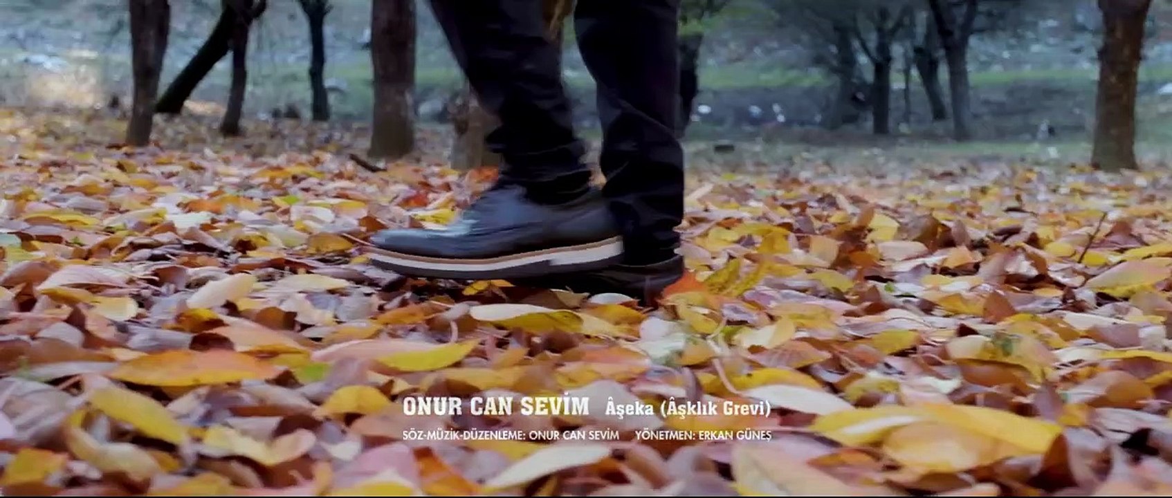 Onur Can Sevim - Âşekâ