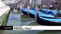 Sogar in Venedig: Ausbleiben der Touristen sorgt für saubereres Wasser