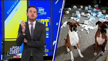 "Bienvenido, ¿qué pasó?" en  De Pisa y Corre