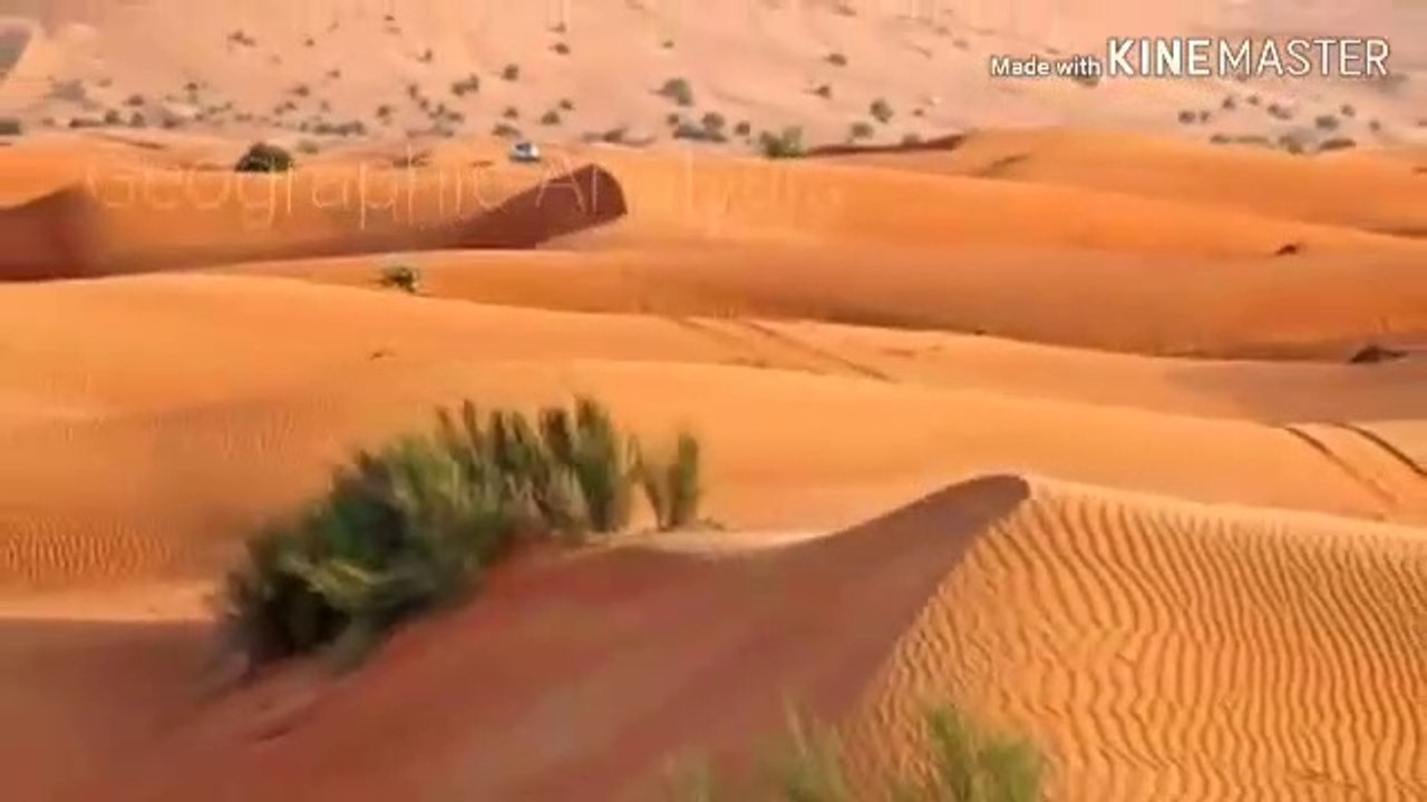 Arebian desert