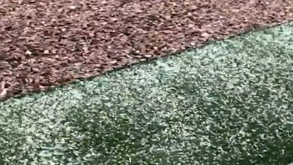 Relentless hail downpour leaves resident stunned