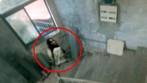 CCTV Footage Of Ghost Roaming Around An Eerie Room--