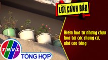 Hiểm họa từ những chậu hoa tại các chung cư, nhà cao tầng