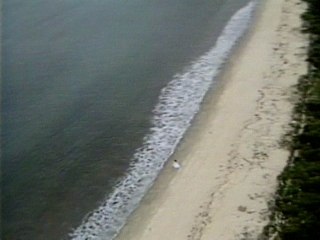 Clara Nunes - Como É Grande E Bonita A Natureza