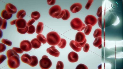 Semolina: Nutrition, Benefits, Uses, and Downsides: Nuturemite