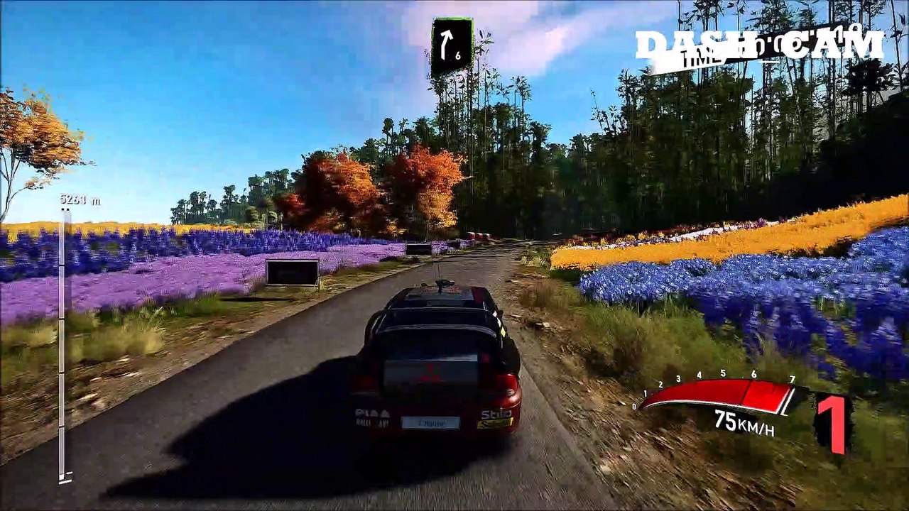 VIRTUAL  RALLY 4_Japan_stage1