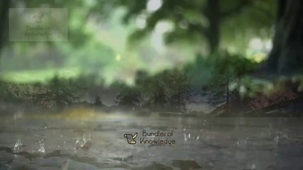 Kia Coronavirus Qayamat Ki Nishani hai? | Coronavirus & Dooms Day Sign | Bundles Of Knowledge