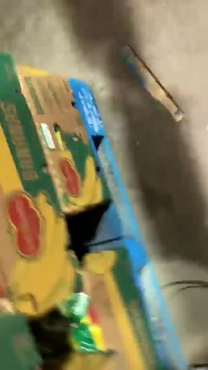 Clientes nem deixam chegar o papel higiénico às prateleiras, esvaziam logo o empilhador assim que sai do armazém