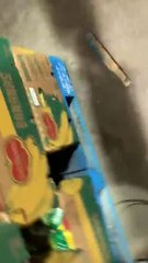 Clientes nem deixam chegar o papel higiénico às prateleiras, esvaziam logo o empilhador assim que sai do armazém