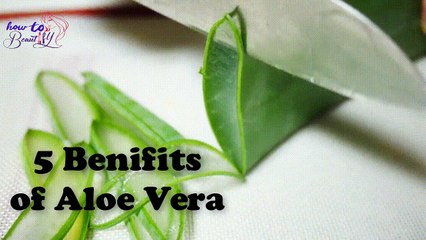 Download Video: Top 5 Benefits of Aloe Vera Gel for Skin and Hair Aloe Vera beauty Tips | How to Beautify