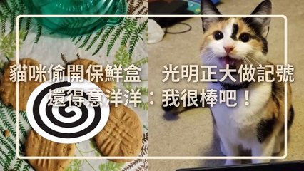 petmao_nownews-copy4-20200319-17:26