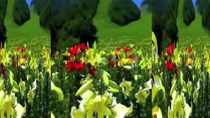 Ağlasam mı Gülsem mi ٭٭Müzik İLGÜN SOYSEV ٭٭sözler AYNUR AVCI