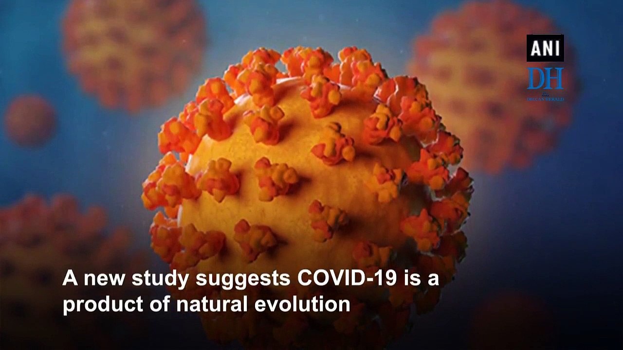 Coronavirus has a natural origin, says study
