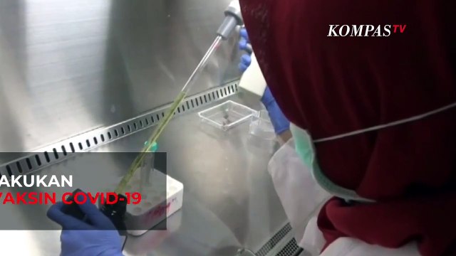 Universitas Airlangga Siap Lakukan Penelitian Vaksin Covid-19