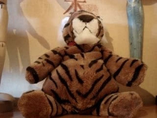 Le dodo du tigrou grr