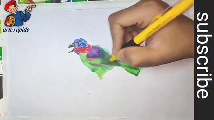 How to draw sparrow | the common bird