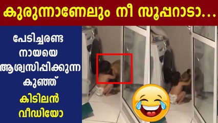 ഇടിമിന്നലില്‍ പേടിച്ച നായയെ ആശ്വസിപ്പിക്കുന്ന കുഞ്ഞു ധീരന്‍