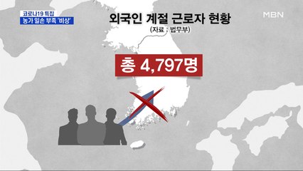 외국인 노동자 입국 못하고 납품도 막히고…농가 이중고