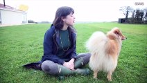 This Professional Opera Singer Says Her Dog Never Barks, He Harmonizes Instead