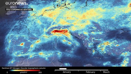 COVID-19: побочный эффект карантина