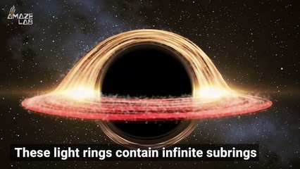 Black Holes Have a ‘Movie’ of the Entire Universe