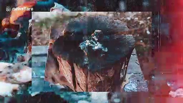 Blow torch eviscerates household objects in fiery experiment