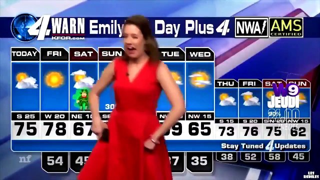 Les 100 vidéos qui ont fait rire le monde entier