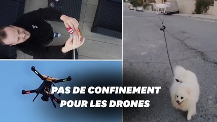 Pendant le confinement, les drones peuvent tout faire, même promener votre chien