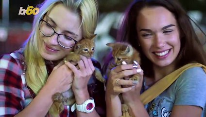 Breaking the Ice! Here Are a Few Conversation Starters When You’re in a Rut!