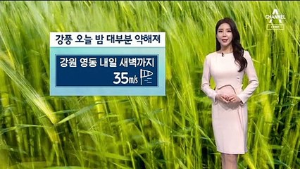 [날씨]강풍 밤부터 대부분 약해져…내일 다시 온화한 봄