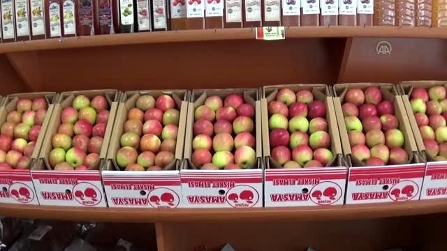 Bakan Selçuk'un ilk teneffüs paylaşımına Amasya'dan misket elması desteği