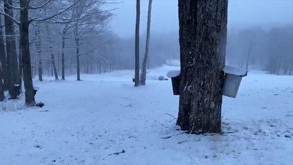 Winter returns to Vermont just in time for spring