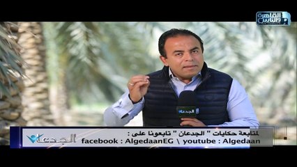 د.محمود الانصاري يؤكد للجدعان ان الفول أفضل الاغذية لتقوية المناعة وحماية الجهاز التنفسي من الفيروسات