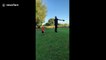 He shoots and he scores! UK boy hits a golf ball over his dad's head scoring into a baseball cap