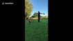 He shoots and he scores! UK boy hits a golf ball over his dad's head scoring into a baseball cap