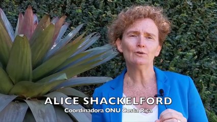 ext-reconocimiento-190320