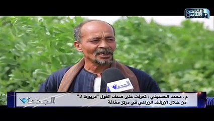 م.محمد الحسينى:فوجئت بالكثافة الإنتاجية لصنف الفول مريوط2