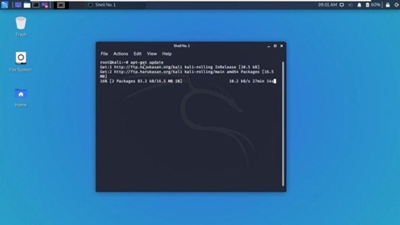 root access in Kali Linux 2020.1