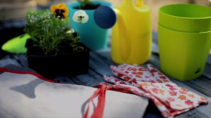 Don’t Give Up on Gardening Now