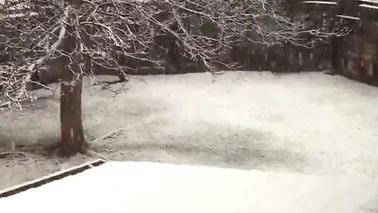 It's a very snowy start to the first day of spring