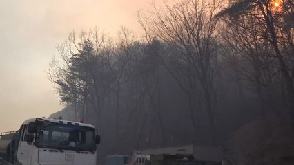 울산 산불 진화에 난항...주민 4천 명 대피 / YTN