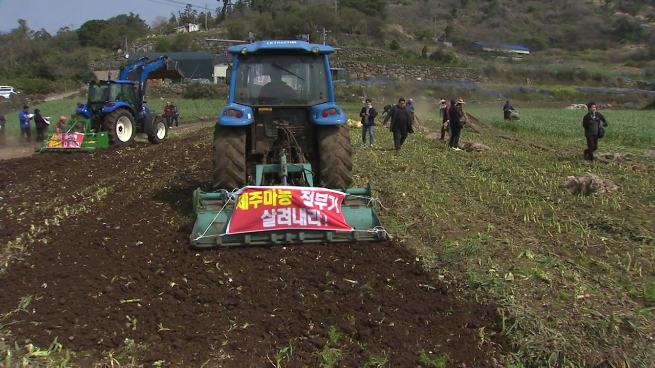 '농산물 값은 떨어지고 추경에선 빠지고'...농가 이중고 / YTN
