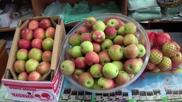 Bakan Selçuk'un 'ilk teneffüs' paylaşımına Amasya'dan 'misket elması' desteği - AMASYA