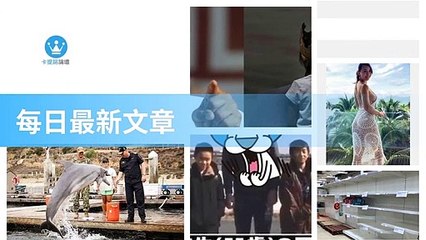 ck101.com.daily-copy4-20200320-02:21