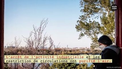 Avec le confinement, la nature reprend ses droits