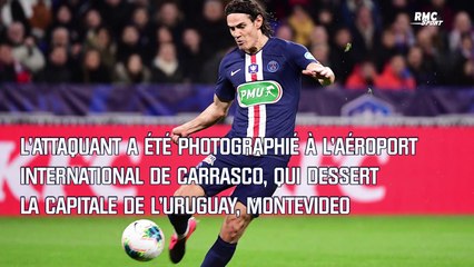Coronavirus : Cavani est rentré en Uruguay et veut "aider" sa ville